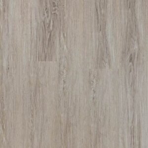 مدرن کم تردد کد 23